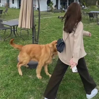 蠢爱三人行